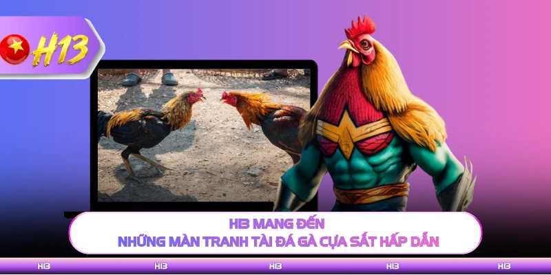 H13 mang đến những màn tranh tài đá gà cựa sắt hấp dẫn